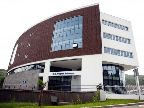 Caucasian French School