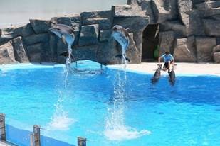 6th of May Park & Dolphinarium