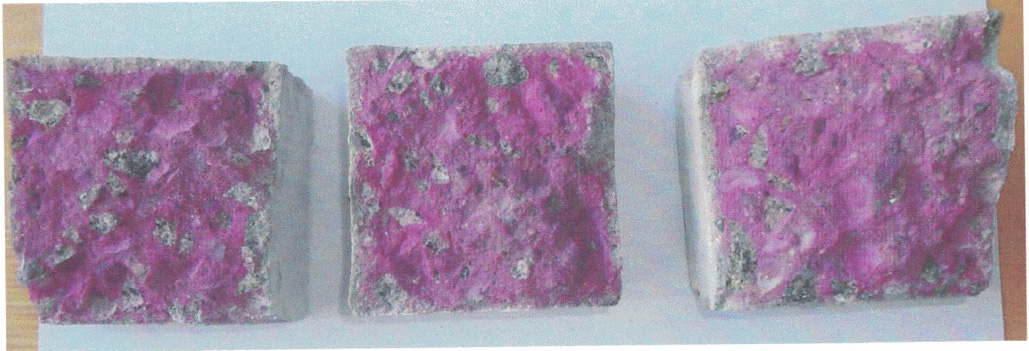 Carbonation Testing - Figure 1: 14 days - Samples with Penetron (P) 