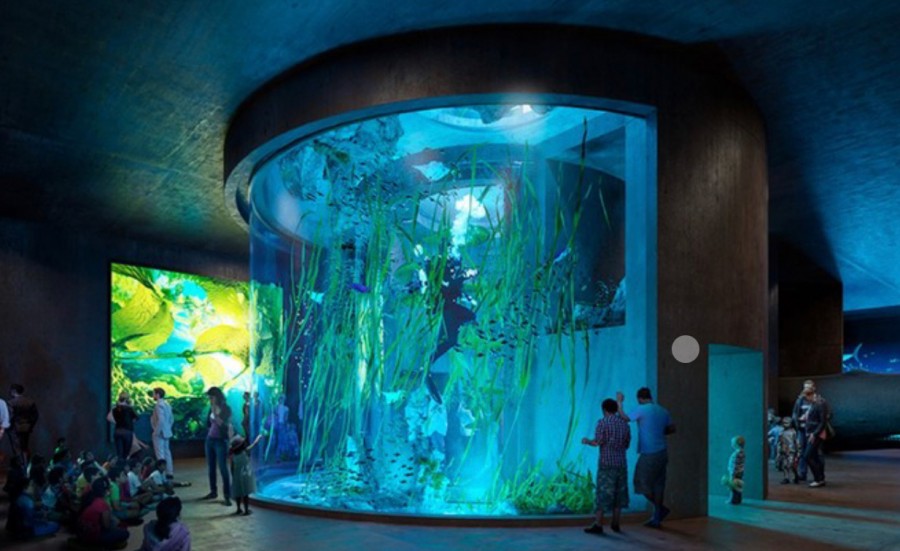 The Aquarium Mar de Cortés features a main tank (5 million liters / 1.32 million gallons) and numerous smaller tanks and open pools, all waterproofed by Penetron.
