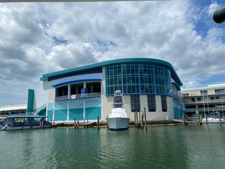 The latest CMA expansion triples the dolphin habitat, which now contains 5 connecting pools, a new hospital facility, expanded education areas, & a new 4-level parking garage.