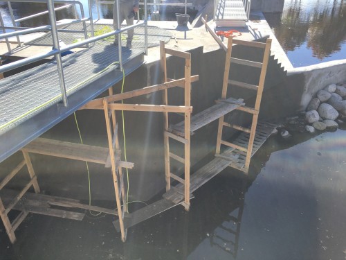 The scaffolding marks where Penetron crystalline material was topically applied to ensure a waterproof – and durable – concrete structure for the Jändja fishing grounds.