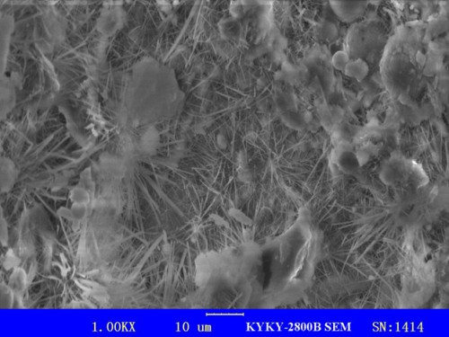 This SEM image of crystals filling cracks and pores in concrete shows how PENETRON crystalline technology blocks the passage of any water molecules and harmful chemicals.