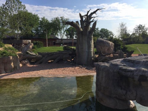 Filling the hippo pool was no problem. The foundation and curved, natural forms of the Malawi Beach habitat are waterproofed with PENETRON ADMIX.